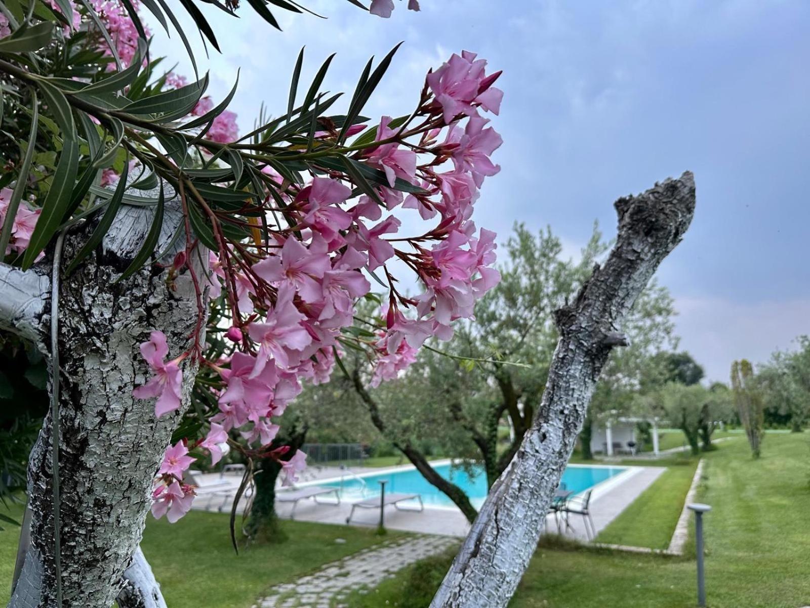 Villa Athena Charme Manerba del Garda Exteriér fotografie